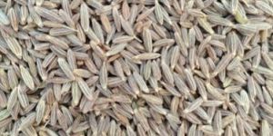 Cumin Seeds