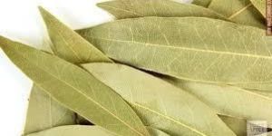 Dry Bay Leaves