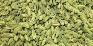 Fennel Seeds