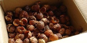 Natural Soap Nuts