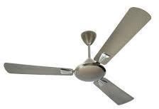 Ceiling Fans