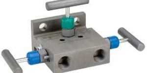 Manifold Valves
