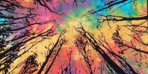 Handmade Indian Wall Hanging Forest Tree Printed Poster