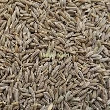 Cumin Seed