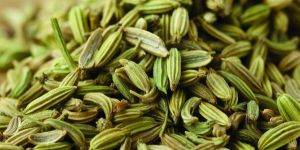 Fennel Seeds