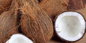 Brown Coconut