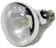 Mercury Bulb