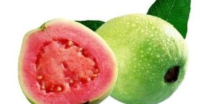 Fresh Guava