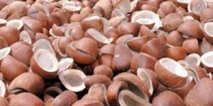 Coconut Copra