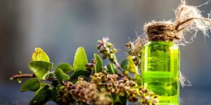 Tea Tree and Lemon Facial Cleanser