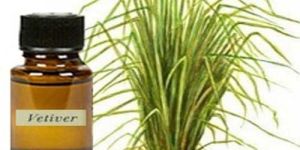 Vetiver Herbal Bath Oil