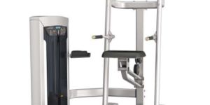 WEIGHT ASSISTED CHIN/DIP COMBO MACHINE