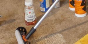 Magic Carpet Cleaning Brush