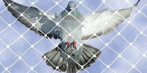 Nylon Bird Netting