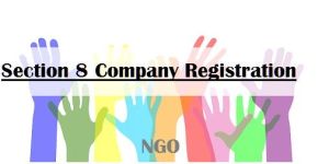 NGO Registration Service