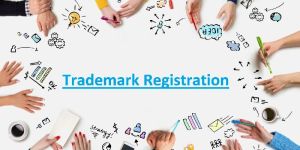 Trademark Registration Service