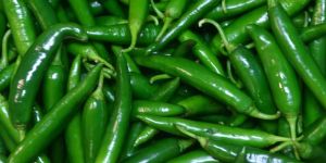 Organic Green Chilli