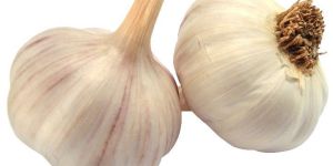 Natural Garlic