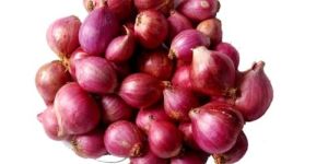 Fresh Small Red Onion