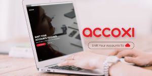 Account Management Software Services