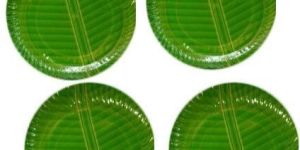 Disposable Paper Plates