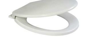 Plastic Toilet Seat Cover