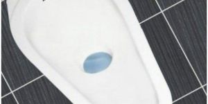 Rural Pan Toilet Seat