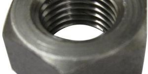 MS Hex Nuts