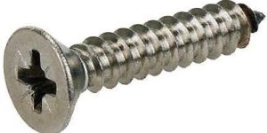 SS Self Tapping Screws