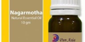 Nagarmotha Essential Oil