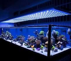Aquarium Light