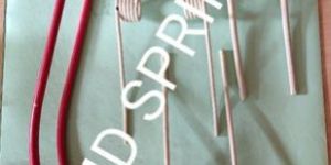 Double Torsion Spring