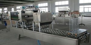Cup Filling & Sealing Machine