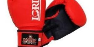 PU Boxing Gloves