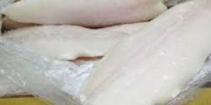Frozen Basa Fish