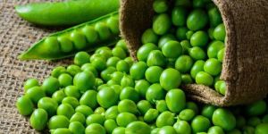 Fresh Green Peas