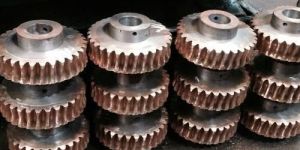 Worm Gears