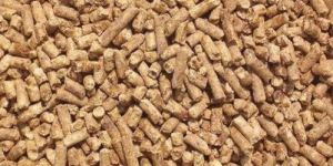 Broiler Pre- Starter Feed