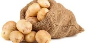 Potato