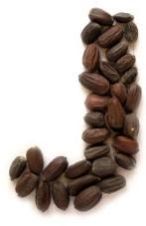 Jojoba Seeds Oil