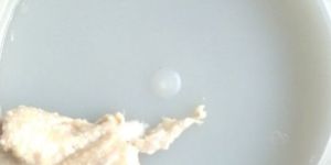 Thermal Conducting Grease Heat Sink Compound