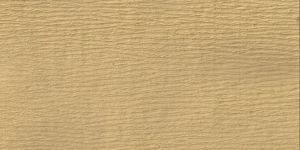 Seed Germination Paper