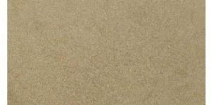 Dried Mushroom Powder