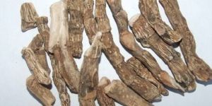 Dried Acorus Calamus (Sweet Flag)