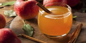 Fuso Japan Malic Acid