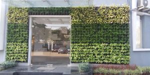 Vertical Green Wall Garden