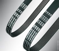 Ribbed Belts