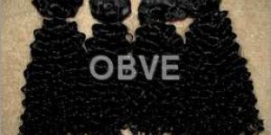 Remy Curly Human Hair