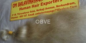 Remy Single Drawn White Human Hair