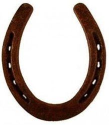 Black Horse Shoe